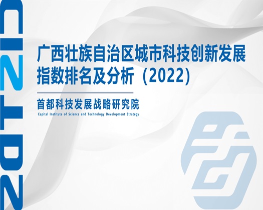 大几把艹bb中文字幕一起艹【成果发布】广西壮族自治区城市科技创新发展指数排名及分析（2022）